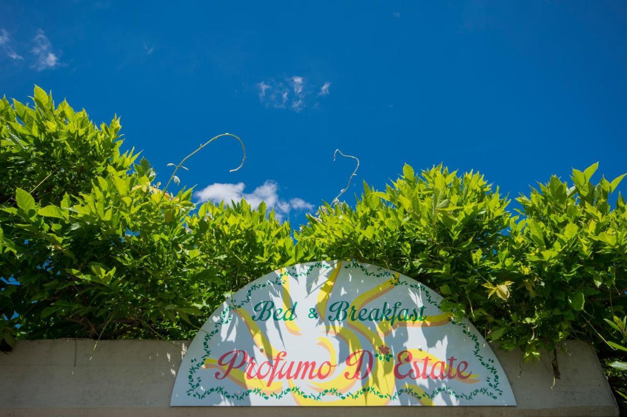 Bed & Breakfast Profumo D'Estate Agliana Exterior photo